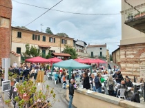 "Vendemmia in Arte" ottobre 2024 (foto di repertorio)